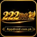 222RS Game