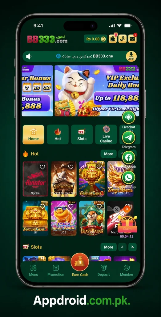BB333 Game