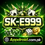 SK E999 Game