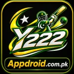 Y222 Game